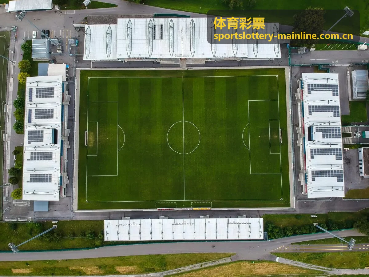 体育彩票公益责任专题阅读画面